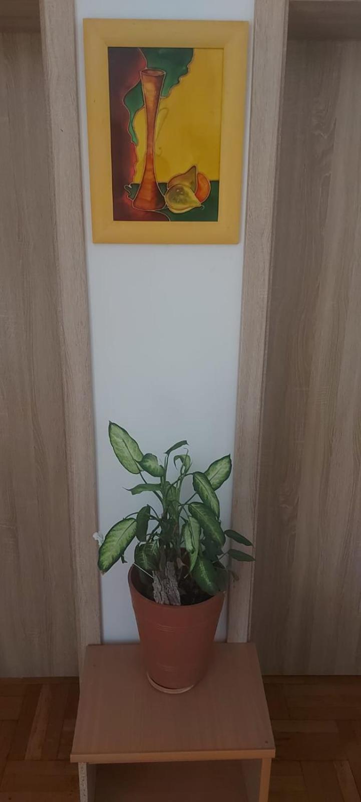 Hostel بوزنان المظهر الخارجي الصورة