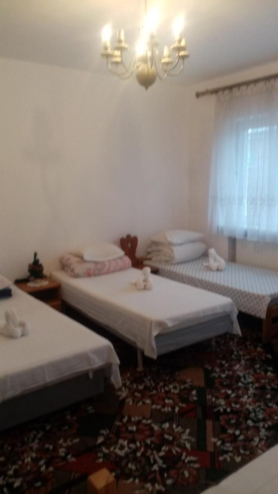 Hostel بوزنان المظهر الخارجي الصورة